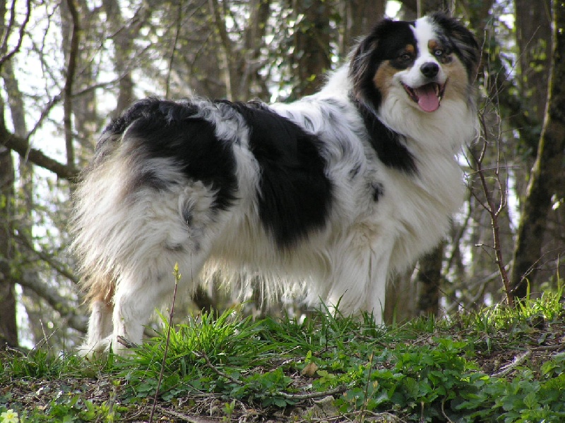 Enzo de Natyben