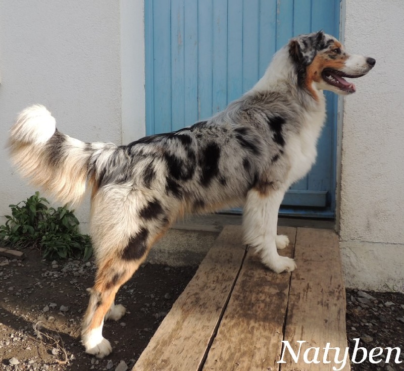 Iouna de Natyben