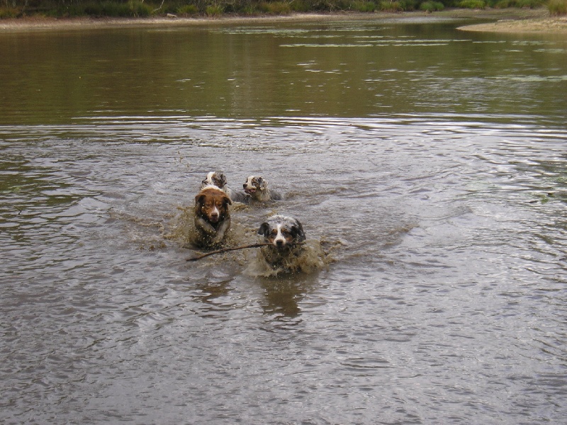 L'eau