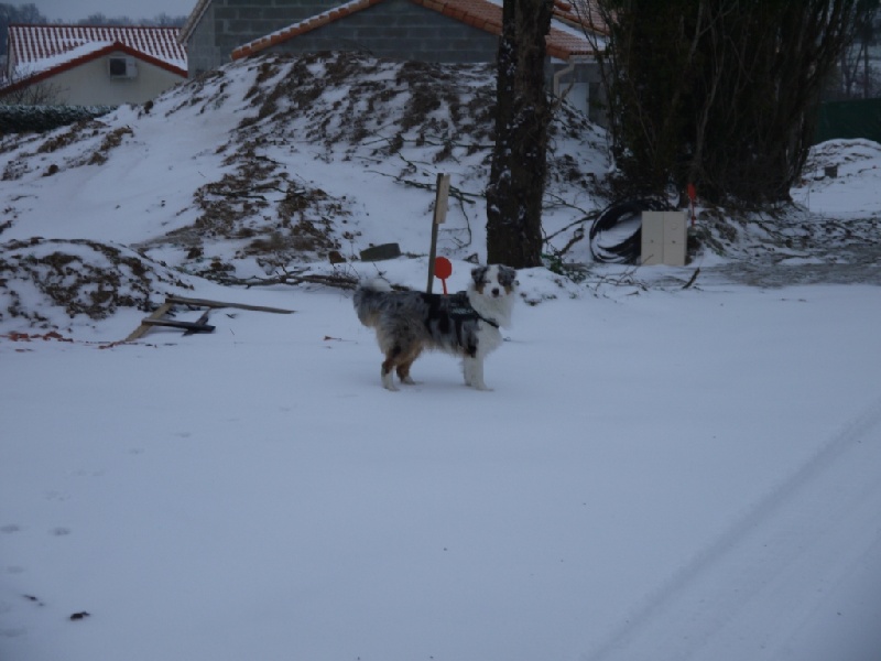 La neige